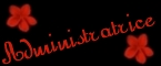 Administratrice