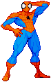 spider