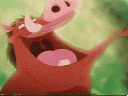 pumba1