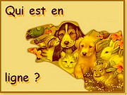 Who is Online