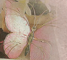 No new posts [ Popular ]