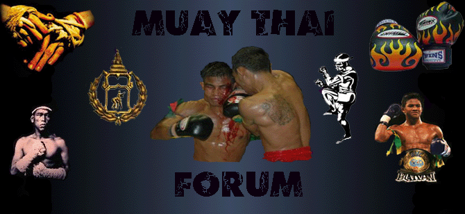 MUAYTHAIFORUM Forum Index