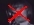 New posts [ Locked ]