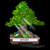 Usergroups