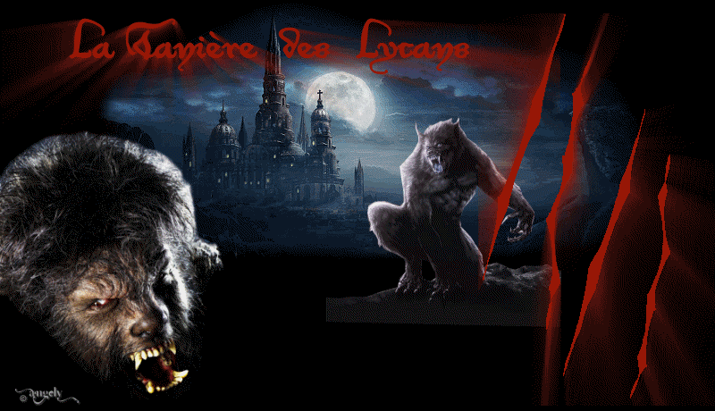 La Tanière des Lycans Forum Index