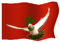 http://img7.xooimage.com/files/1/a/2/373452223-250b07d.gif