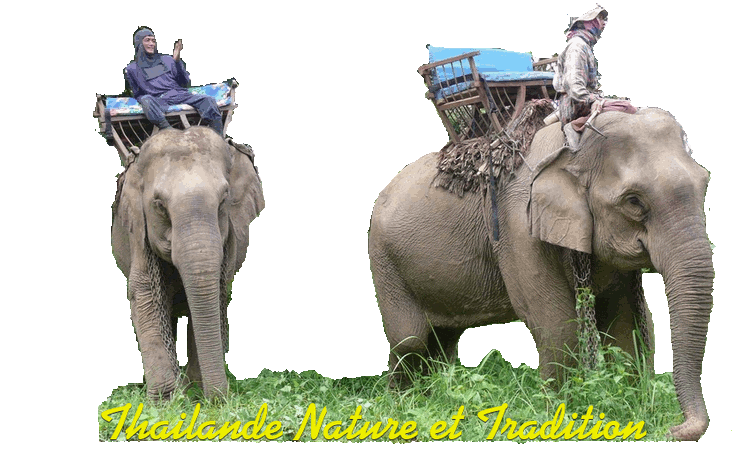 Thailande Nature et Tradition Forum Index