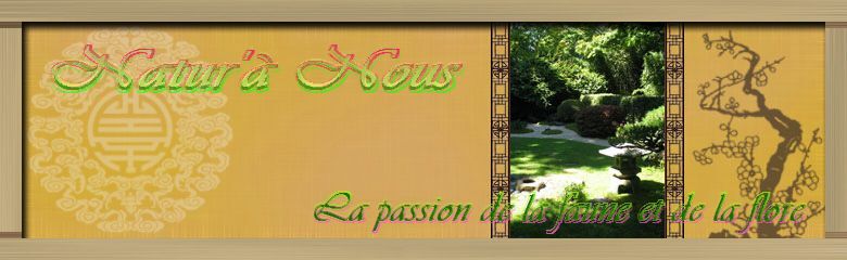 natur à nous Forum Index