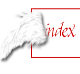 °~Das Kreuz Des Engels~° Forum Index