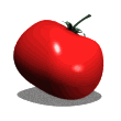 tomate