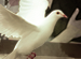 New posts