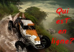 Qui est en ligne ?