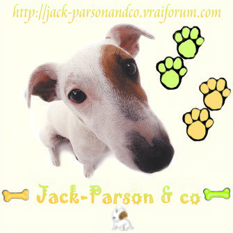 JACK - PARSON & CO Forum Index