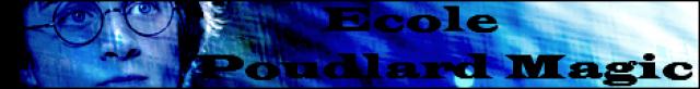 Ecole Poudlard magic Forum Index
