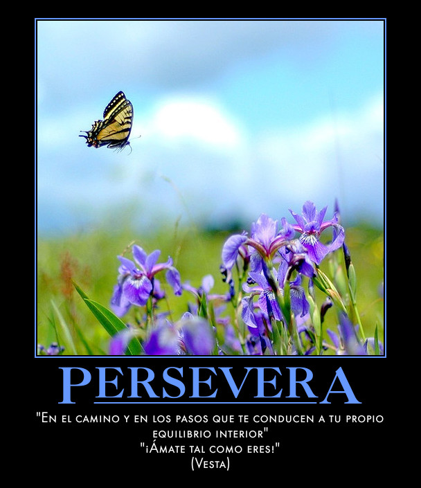 Imagenes con mensajes de motivacion.... - Taringa!