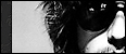 New posts
