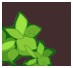 No new posts