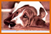 This forum is locked: you cannot post, reply to, or edit topics.