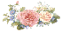 No new posts