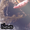 New posts