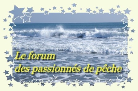Dédousurf Forum Index