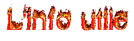  Forum Index