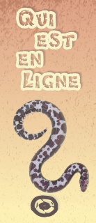 Qui est en ligne ?