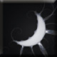 No new posts