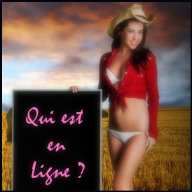Qui est en ligne ?