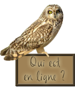 Qui est en ligne ?