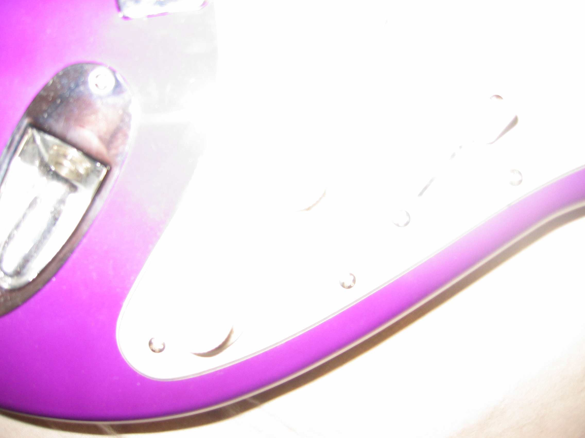 Plectre Forum Index