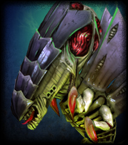 Xenos