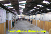 L\'OXER DE BELLEVUE Forum Index