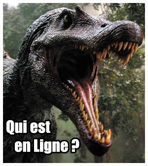 Qui est en ligne ?