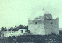 maghnia