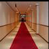 http://img7.xooimage.com/files/7/2/9/coul1-973119.jpeg