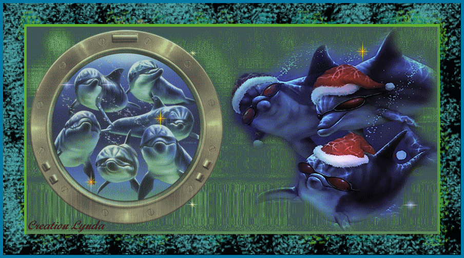 Chez les dauphins Forum Index