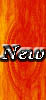 New posts [ Popular ]