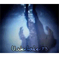 http://img7.xooimage.com/files/7/c/4/090120093031432868-a4cd8d.gif