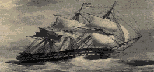 http://img7.xooimage.com/files/7/e/6/le-loup-gris-633b3d.gif