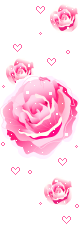 rose long