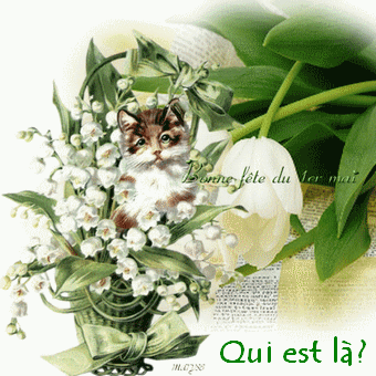 Who is Online
