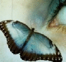 New posts