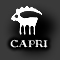 Capricorne (22déc-19jan)