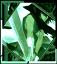 New posts