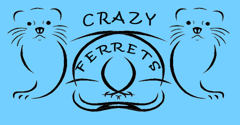 crazy-ferrets Forum Index