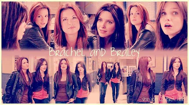 Brachel and Braley Forum Index