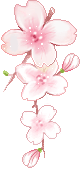 fleurs:rose