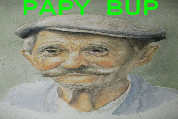 LE FORUM DE PAPY PUB Forum Index