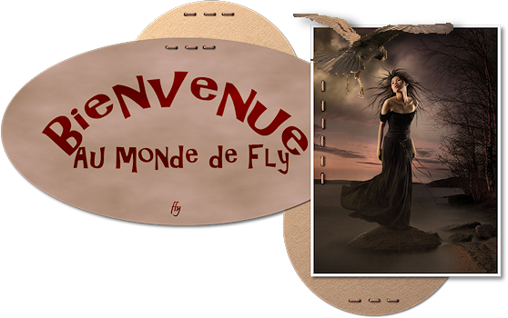 le monde de fly Forum Index